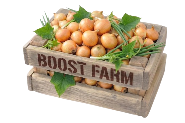 Crate of onions